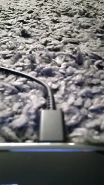 full_fun  10-11-2021 Recorded Video Webcam